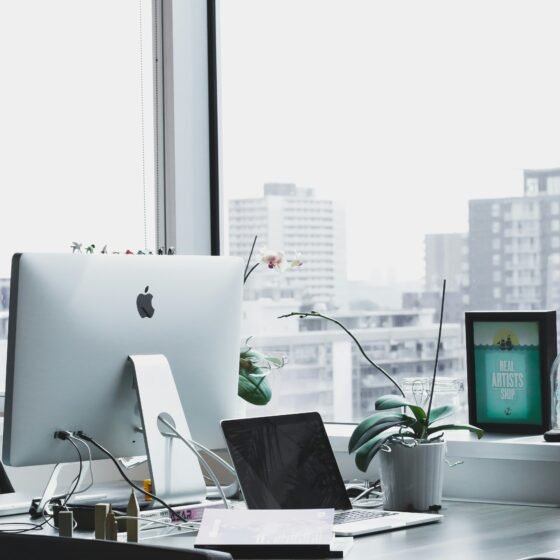 How To Start A Business This Summer and Succeed